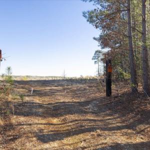16-016-Chatham-Parcel-8664-Tract3-202501