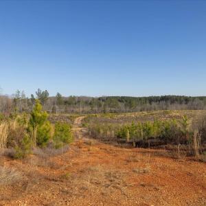 18-018-Chatham-Parcel-8664-Tract3-202501