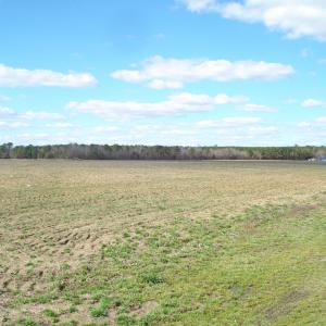 DSC09210