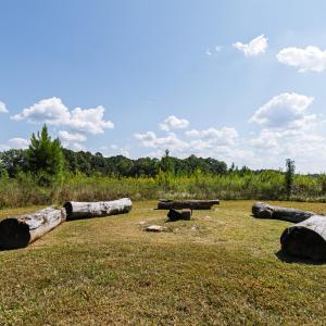 Firepit Area