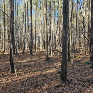 SR MLS 29
