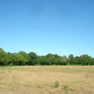 DSC09295