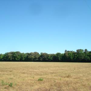 DSC09296