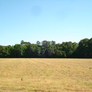 DSC09301