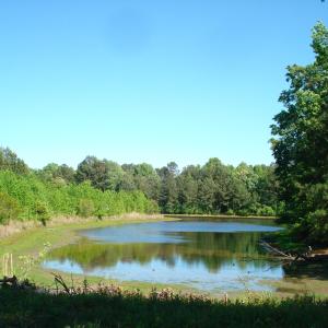 DSC09310