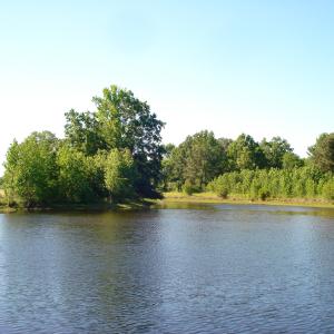 DSC09331