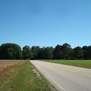 DSC09291