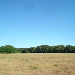 DSC09294