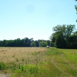 DSC09300