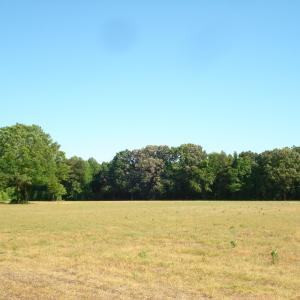 DSC09302
