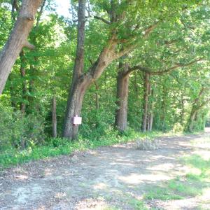 DSC09320