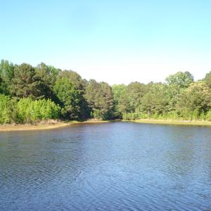 DSC09330