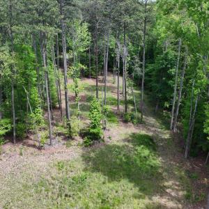 dji_fly_20260501_142210_0259_17776931183