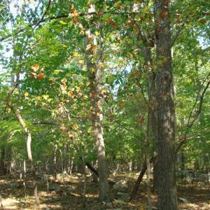DSC01530_640x480