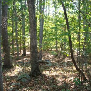 DSC01527_640x480