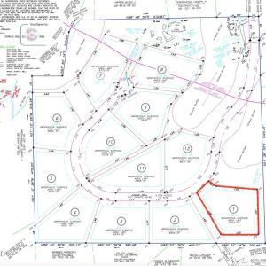 Lot 1 Highlighted Color