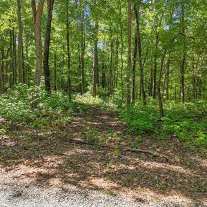 6-web-or-mls-DJI_20260504103355_0563_D