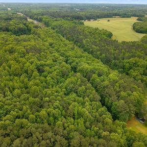 06-Pocomoke Lots_ (6)