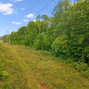 11-Pocomoke Lots_ (10)