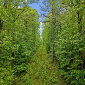 12-Pocomoke Lots_ (11)