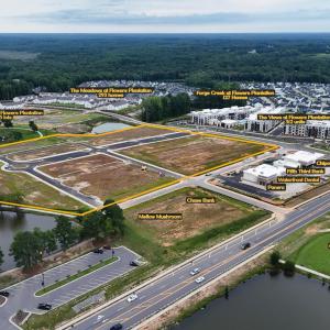 NE Flowers Waterfront aerial 2