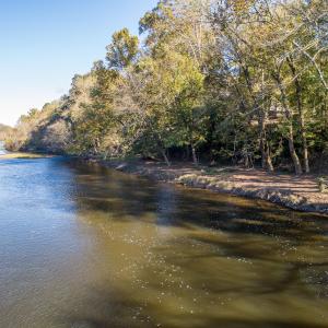 Copy of OldeFerry-31