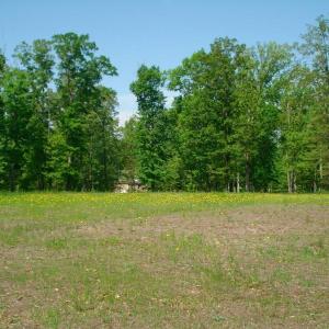 OLDE FERRY SPRINGTIME LOTS 1-20 (52)