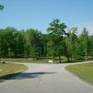 OLDE FERRY SPRINGTIME LOTS 1-20 (61)