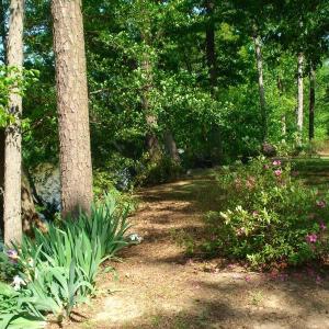 OLDE FERRY SPRINGTIME LOTS 1-20