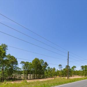 28-032-LowerMoncureRd-Lee-Pin-9664-46-26