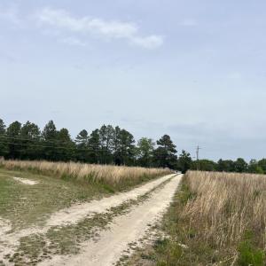 pic 5