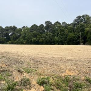 10 acres pic 1