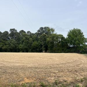 10 acres pic 2