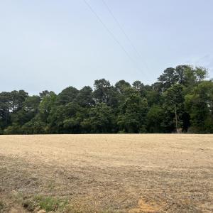 10 acres pic 3