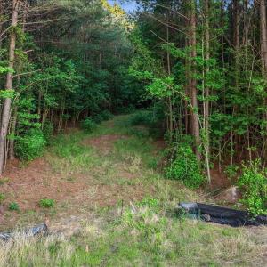 12-Quarterhorse Rd-12