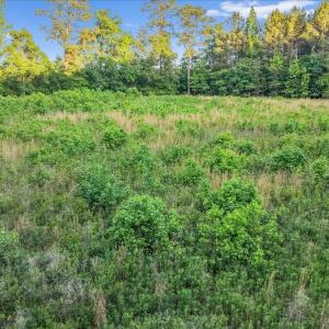 20-Quarterhorse Rd-20