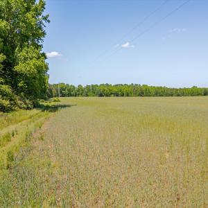 22-3454 Shearin Rd-21