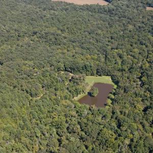 DJI_0280