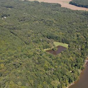 DJI_0281