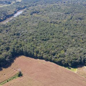 DJI_0295