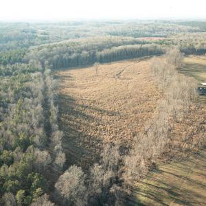 20250108-DJI_0213
