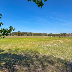 IMG_0517-2