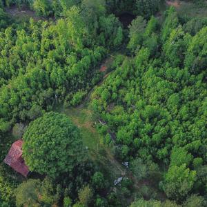 6-DJI_0159