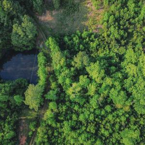 11-DJI_0164