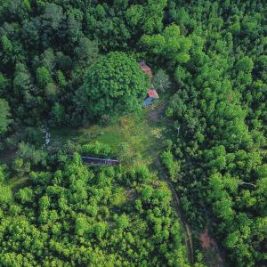 12-DJI_0165