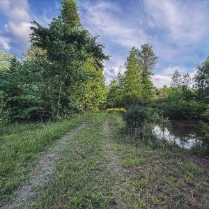 19-IMG_6843