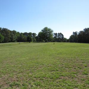 Marshall Landing field 3 Scot Lerew real