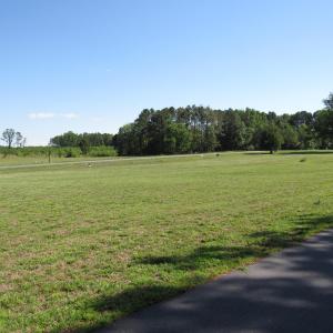 Marshall Landing Field Scot Lerew real e