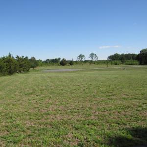 Marshall Landing Field Scot Lerew real e