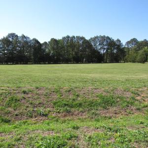 Marshall Landing lot 2 Scot Lerew real e